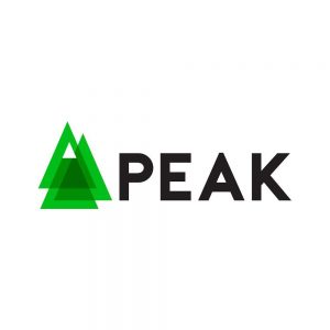 Peak logo - Giggity Pop